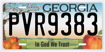 GA license plate PVR9383
