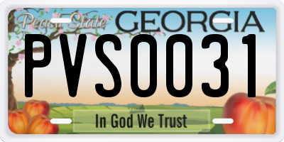 GA license plate PVS0031