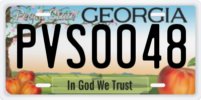GA license plate PVS0048