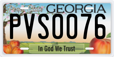 GA license plate PVS0076