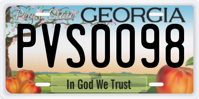 GA license plate PVS0098