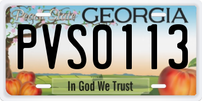 GA license plate PVS0113