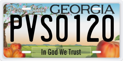 GA license plate PVS0120