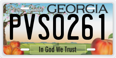 GA license plate PVS0261