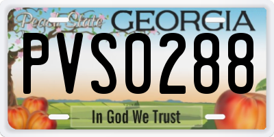 GA license plate PVS0288