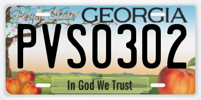 GA license plate PVS0302