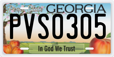 GA license plate PVS0305