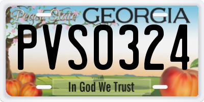 GA license plate PVS0324