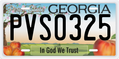 GA license plate PVS0325