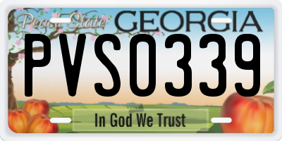 GA license plate PVS0339