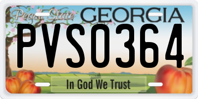 GA license plate PVS0364