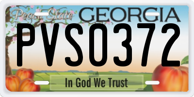 GA license plate PVS0372