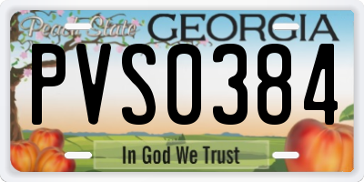 GA license plate PVS0384