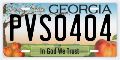 GA license plate PVS0404