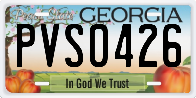 GA license plate PVS0426