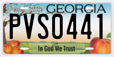 GA license plate PVS0441