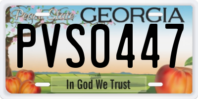 GA license plate PVS0447