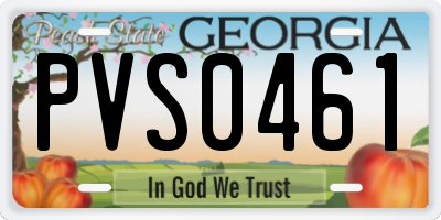 GA license plate PVS0461