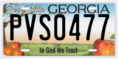 GA license plate PVS0477