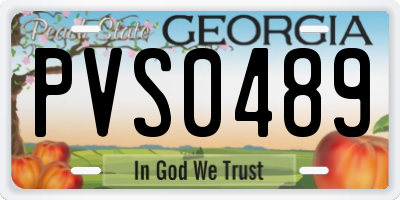 GA license plate PVS0489