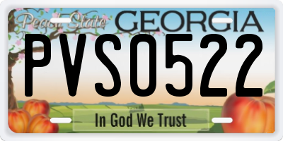 GA license plate PVS0522