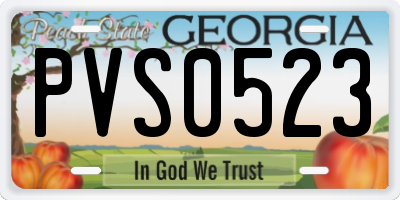 GA license plate PVS0523