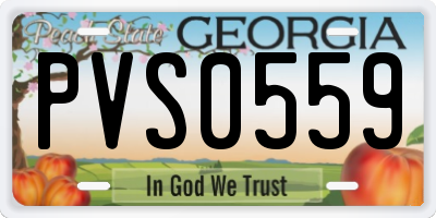 GA license plate PVS0559