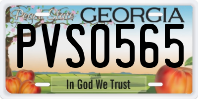 GA license plate PVS0565