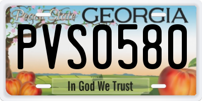 GA license plate PVS0580