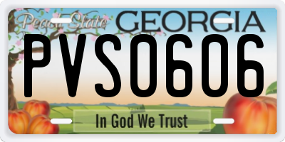 GA license plate PVS0606