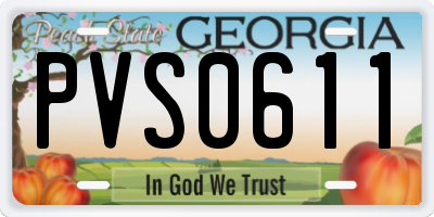 GA license plate PVS0611
