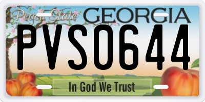 GA license plate PVS0644