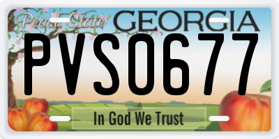 GA license plate PVS0677
