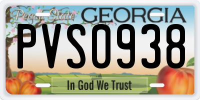 GA license plate PVS0938