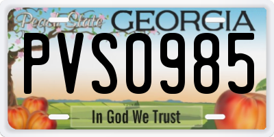 GA license plate PVS0985