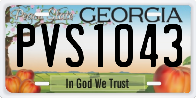 GA license plate PVS1043