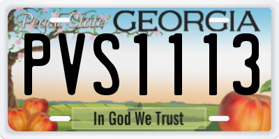 GA license plate PVS1113