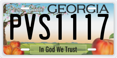 GA license plate PVS1117
