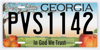 GA license plate PVS1142
