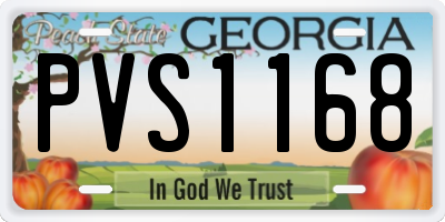 GA license plate PVS1168