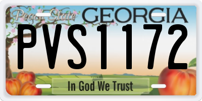 GA license plate PVS1172
