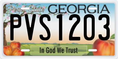 GA license plate PVS1203
