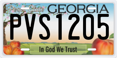 GA license plate PVS1205