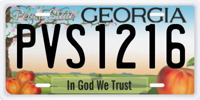 GA license plate PVS1216