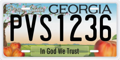 GA license plate PVS1236