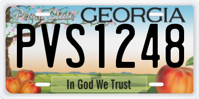 GA license plate PVS1248