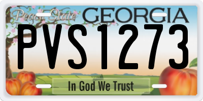 GA license plate PVS1273