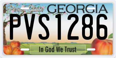 GA license plate PVS1286