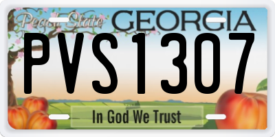 GA license plate PVS1307