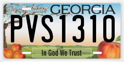 GA license plate PVS1310